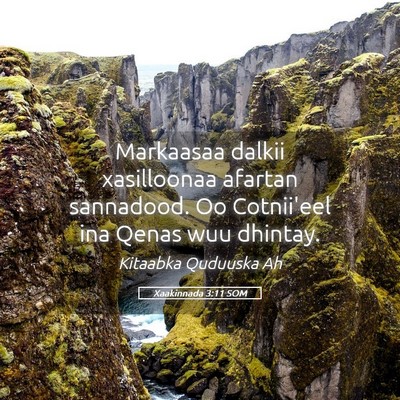 Picture 05 - Xaakinnada 3:11 SOM - Markaasaa dalkii xasilloonaa afartan sannadood. - Bible Verse Picture