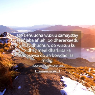Picture 05 - Xaakinnada 3:16 SOM - Oo Eehuudna wuxuu samaystay seef laba af leh, oo - Bible Verse Picture