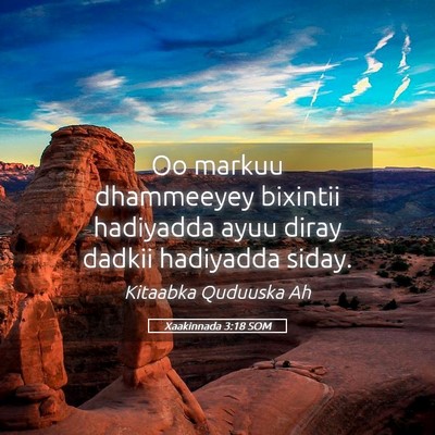 Picture 05 - Xaakinnada 3:18 SOM - Oo markuu dhammeeyey bixintii hadiyadda ayuu - Bible Verse Picture
