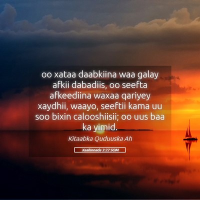 Picture 05 - Xaakinnada 3:22 SOM - oo xataa daabkiina waa galay afkii dabadiis, oo - Bible Verse Picture