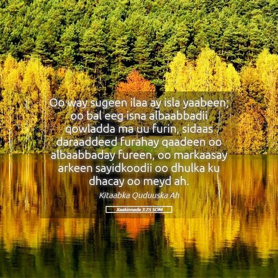 Picture 05 - Xaakinnada 3:25 SOM - Oo way sugeen ilaa ay isla yaabeen; oo bal eeg - Bible Verse Picture