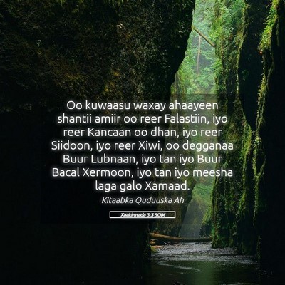 Picture 05 - Xaakinnada 3:3 SOM - Oo kuwaasu waxay ahaayeen shantii amiir oo reer - Bible Verse Picture