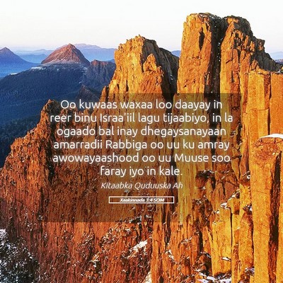 Picture 05 - Xaakinnada 3:4 SOM - Oo kuwaas waxaa loo daayay in reer binu Israa'iil - Bible Verse Picture