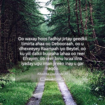 Picture 05 - Xaakinnada 4:5 SOM - Oo waxay hoos fadhiyi jirtay geedkii timirta ahaa - Bible Verse Picture