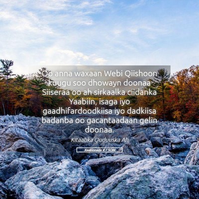 Picture 05 - Xaakinnada 4:7 SOM - Oo anna waxaan Webi Qiishoon kuugu soo dhowayn - Bible Verse Picture
