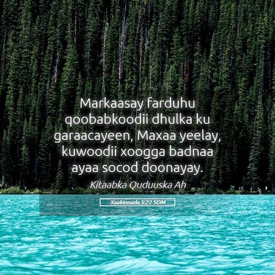 Picture 05 - Xaakinnada 5:22 SOM - Markaasay farduhu qoobabkoodii dhulka ku - Bible Verse Picture