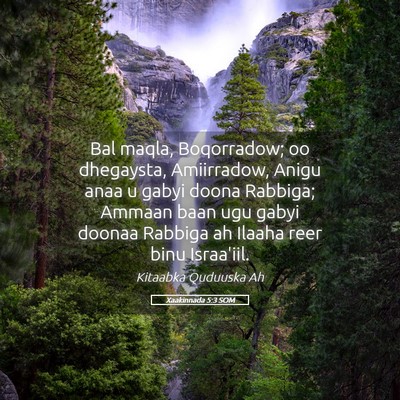 Picture 05 - Xaakinnada 5:3 SOM - Bal maqla, Boqorradow; oo dhegaysta, Amiirradow, - Bible Verse Picture