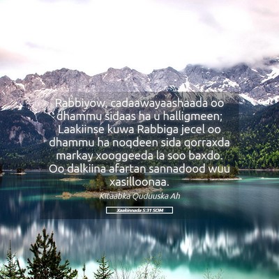 Picture 05 - Xaakinnada 5:31 SOM - Rabbiyow, cadaawayaashaada oo dhammu sidaas ha u - Bible Verse Picture