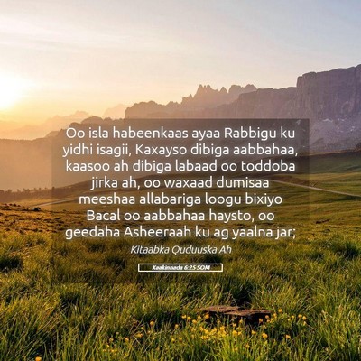 Picture 05 - Xaakinnada 6:25 SOM - Oo isla habeenkaas ayaa Rabbigu ku yidhi isagii, - Bible Verse Picture