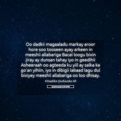 Picture 05 - Xaakinnada 6:28 SOM - Oo dadkii magaaladu markay aroor hore soo tooseen - Bible Verse Picture