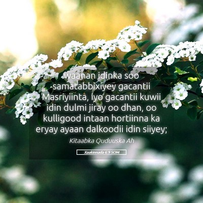 Picture 05 - Xaakinnada 6:9 SOM - waanan idinka soo samatabbixiyey gacantii - Bible Verse Picture