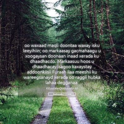 Picture 05 - Xaakinnada 7:11 SOM - oo waxaad maqli doontaa waxay isku leeyihiin; oo - Bible Verse Picture