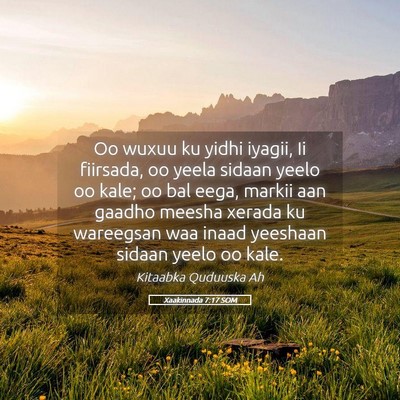 Picture 05 - Xaakinnada 7:17 SOM - Oo wuxuu ku yidhi iyagii, Ii fiirsada, oo yeela - Bible Verse Picture