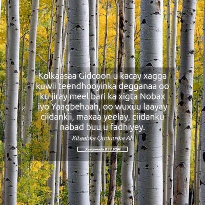 Picture 05 - Xaakinnada 8:11 SOM - Kolkaasaa Gidcoon u kacay xagga kuwii - Bible Verse Picture