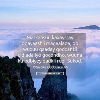 Picture 05 - Xaakinnada 8:16 SOM - Markaasuu kaxaystay odayaashii magaalada, oo - Bible Verse Picture