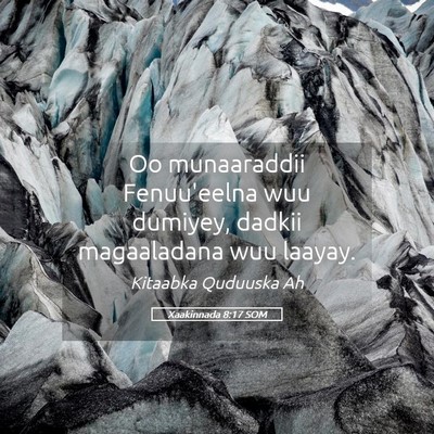 Picture 05 - Xaakinnada 8:17 SOM - Oo munaaraddii Fenuu'eelna wuu dumiyey, dadkii - Bible Verse Picture