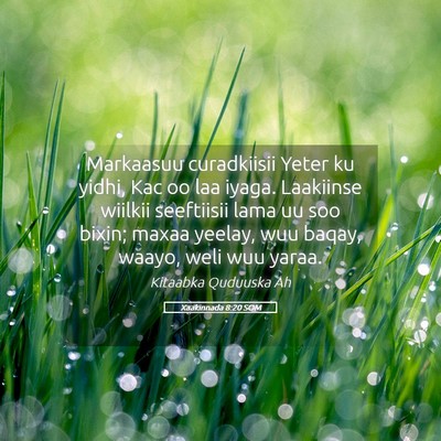 Picture 05 - Xaakinnada 8:20 SOM - Markaasuu curadkiisii Yeter ku yidhi, Kac oo laa - Bible Verse Picture