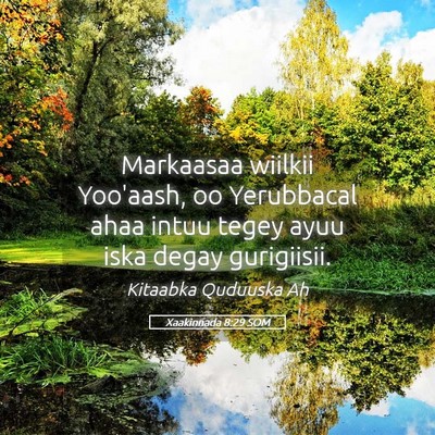 Picture 05 - Xaakinnada 8:29 SOM - Markaasaa wiilkii Yoo'aash, oo Yerubbacal ahaa - Bible Verse Picture