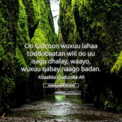 Picture 05 - Xaakinnada 8:30 SOM - Oo Gidcoon wuxuu lahaa toddobaatan wiil oo uu - Bible Verse Picture