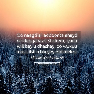 Picture 05 - Xaakinnada 8:31 SOM - Oo naagtiisii addoonta ahayd oo degganayd Shekem, - Bible Verse Picture