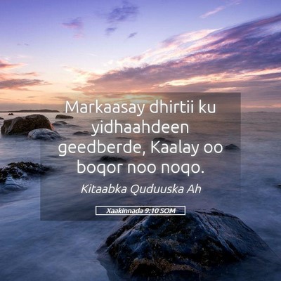 Picture 05 - Xaakinnada 9:10 SOM - Markaasay dhirtii ku yidhaahdeen geedberde, - Bible Verse Picture