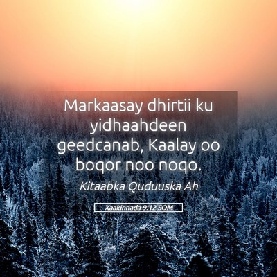 Picture 05 - Xaakinnada 9:12 SOM - Markaasay dhirtii ku yidhaahdeen geedcanab, - Bible Verse Picture