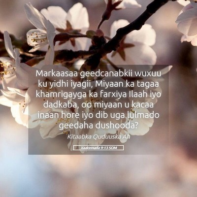 Picture 05 - Xaakinnada 9:13 SOM - Markaasaa geedcanabkii wuxuu ku yidhi iyagii, - Bible Verse Picture