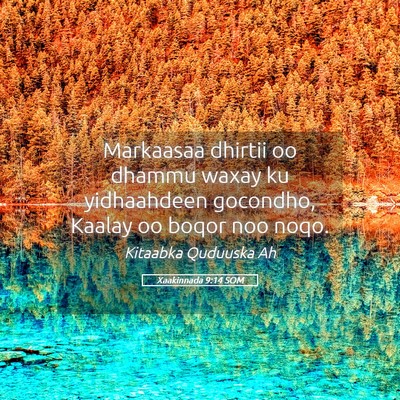 Picture 05 - Xaakinnada 9:14 SOM - Markaasaa dhirtii oo dhammu waxay ku yidhaahdeen - Bible Verse Picture