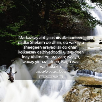 Picture 05 - Xaakinnada 9:3 SOM - Markaasay abtiyaashiis ula hadleen dadkii Shekem - Bible Verse Picture