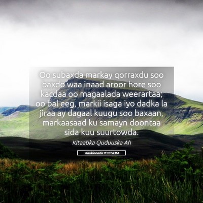 Picture 05 - Xaakinnada 9:33 SOM - Oo subaxda markay qorraxdu soo baxdo waa inaad - Bible Verse Picture