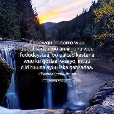 Picture 05 - Xabaquuq 1:10 SOM - Cadowgu boqorro wuu quudhsadaa, oo amiirrona wuu - Bible Verse Picture