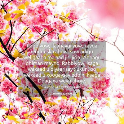 Picture 05 - Xabaquuq 1:12 SOM - Rabbiyow, Ilaahaygiiyow, kayga Quduuska ahow, sow - Bible Verse Picture