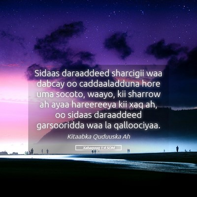 Picture 05 - Xabaquuq 1:4 SOM - Sidaas daraaddeed sharcigii waa dabcay oo - Bible Verse Picture