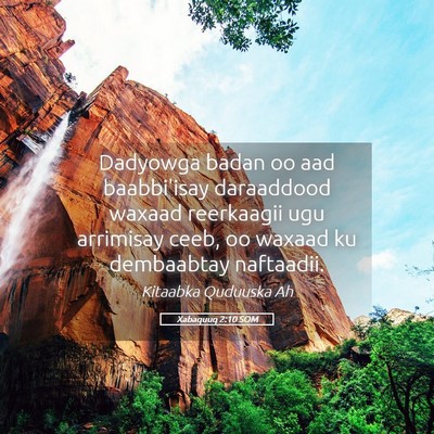 Picture 05 - Xabaquuq 2:10 SOM - Dadyowga badan oo aad baabbi'isay daraaddood - Bible Verse Picture