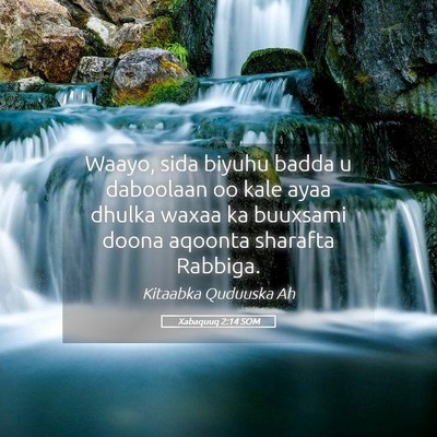 Picture 05 - Xabaquuq 2:14 SOM - Waayo, sida biyuhu badda u daboolaan oo kale ayaa - Bible Verse Picture