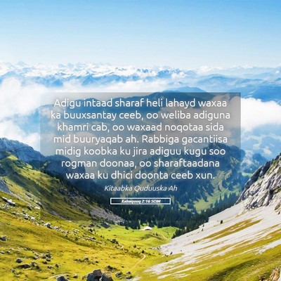 Picture 05 - Xabaquuq 2:16 SOM - Adigu intaad sharaf heli lahayd waxaa ka - Bible Verse Picture