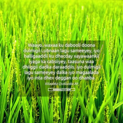 Picture 05 - Xabaquuq 2:17 SOM - Waayo, waxaa ku dabooli doona dulmigii Lubnaan - Bible Verse Picture