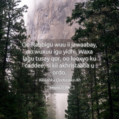 Picture 05 - Xabaquuq 2:2 SOM - Oo Rabbigu wuu ii jawaabay, oo wuxuu igu yidhi, - Bible Verse Picture