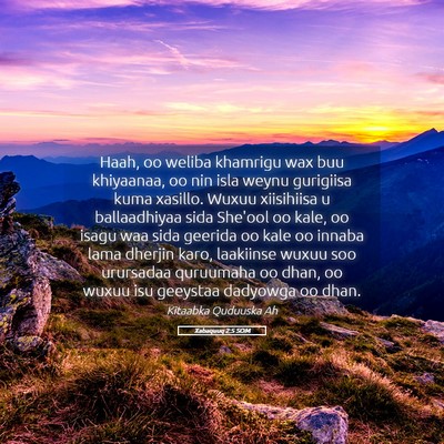 Picture 05 - Xabaquuq 2:5 SOM - Haah, oo weliba khamrigu wax buu khiyaanaa, oo - Bible Verse Picture