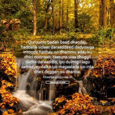 Picture 05 - Xabaquuq 2:8 SOM - Quruumo badan baad dhacday, haddaba sidaas - Bible Verse Picture