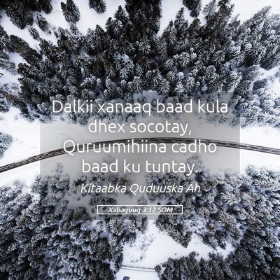 Picture 05 - Xabaquuq 3:12 SOM - Dalkii xanaaq baad kula dhex socotay, - Bible Verse Picture