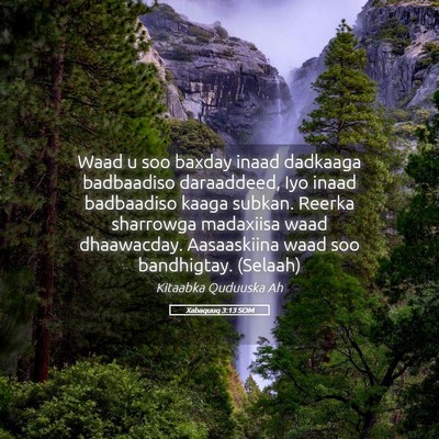 Picture 05 - Xabaquuq 3:13 SOM - Waad u soo baxday inaad dadkaaga badbaadiso - Bible Verse Picture