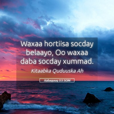 Picture 05 - Xabaquuq 3:5 SOM - Waxaa hortiisa socday belaayo, Oo waxaa daba - Bible Verse Picture