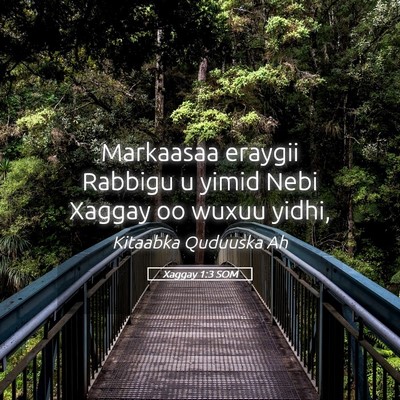 Picture 05 - Xaggay 1:3 SOM - Markaasaa eraygii Rabbigu u yimid Nebi Xaggay oo - Bible Verse Picture