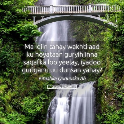 Picture 05 - Xaggay 1:4 SOM - Ma idiin tahay wakhti aad ku hoyataan guryihiinna - Bible Verse Picture