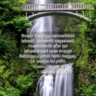 Picture 05 - Xaggay 2:10 SOM - Boqor Daariyus sannaddiisii labaad, bisheedii - Bible Verse Picture