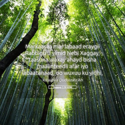 Picture 05 - Xaggay 2:20 SOM - Markaasaa mar labaad eraygii Rabbigu u yimid Nebi - Bible Verse Picture