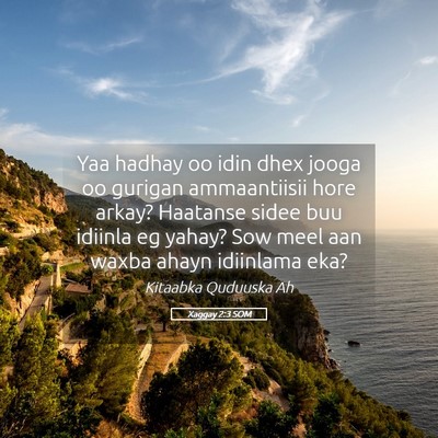 Picture 05 - Xaggay 2:3 SOM - Yaa hadhay oo idin dhex jooga oo gurigan - Bible Verse Picture