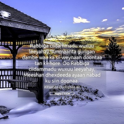 Picture 05 - Xaggay 2:9 SOM - Rabbiga ciidammadu wuxuu leeyahay, Ammaanta - Bible Verse Picture