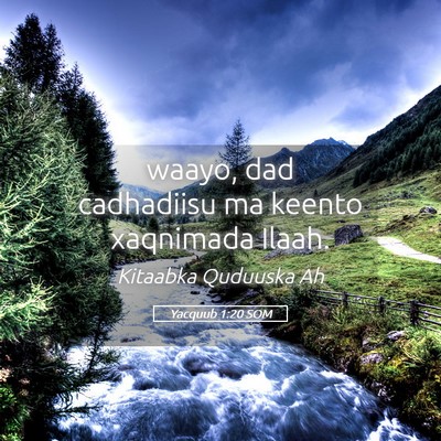 Picture 05 - Yacquub 1:20 SOM - waayo, dad cadhadiisu ma keento xaqnimada - Bible Verse Picture